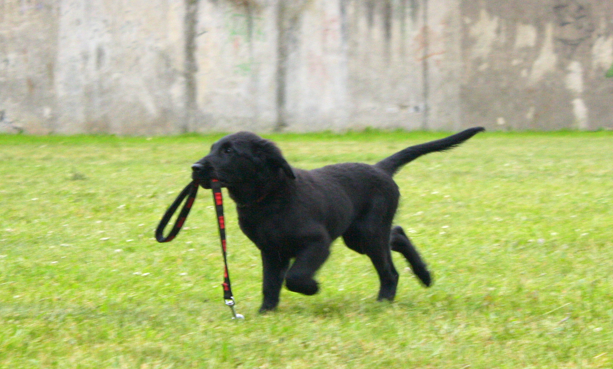 IMG_4574.JPG